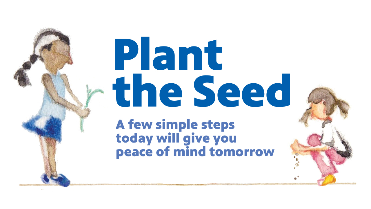 Plant the Seed